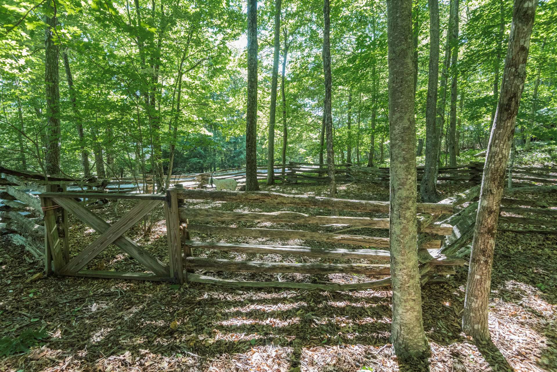 Spacious yard in front offers this extra fenced in area for your imagination to run wild with ideas.