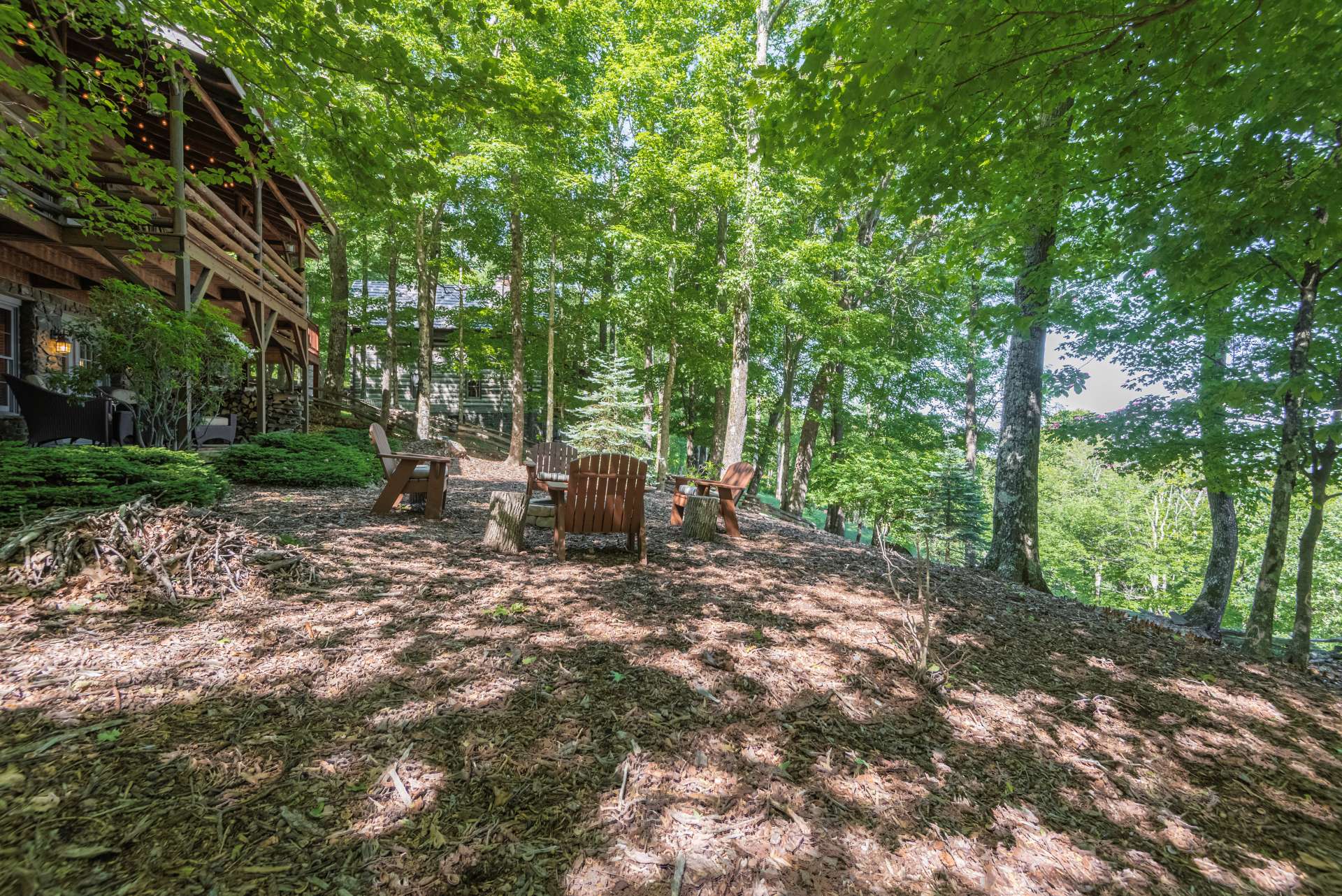 Another unique feature of this charming cabin is all the yard space for fur babies and children to play.