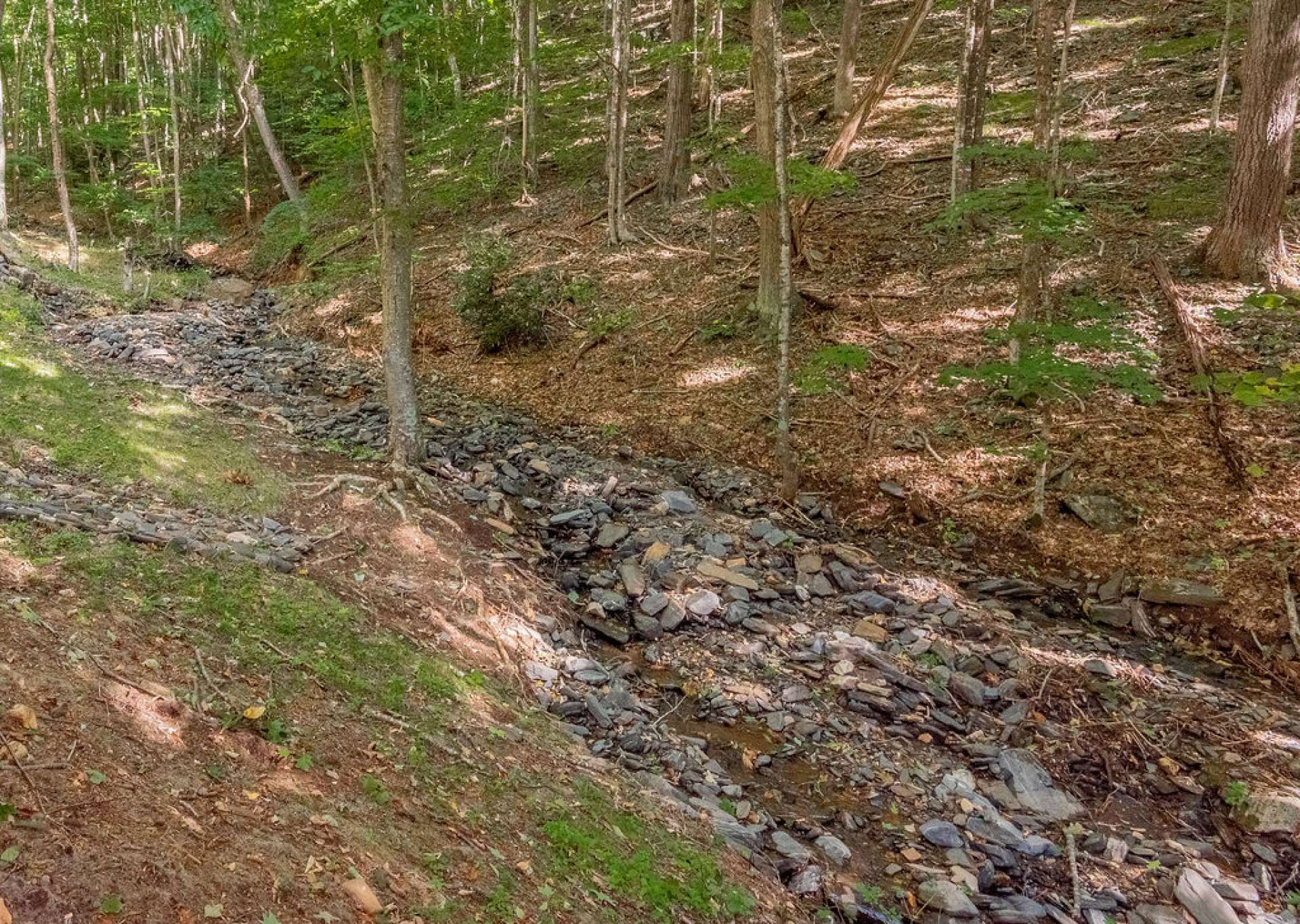 This rocky creek provides for entertainment you can only get in the mountains. Collect unique rocks, search for crayfish, or simply relax by the bank of the creek.