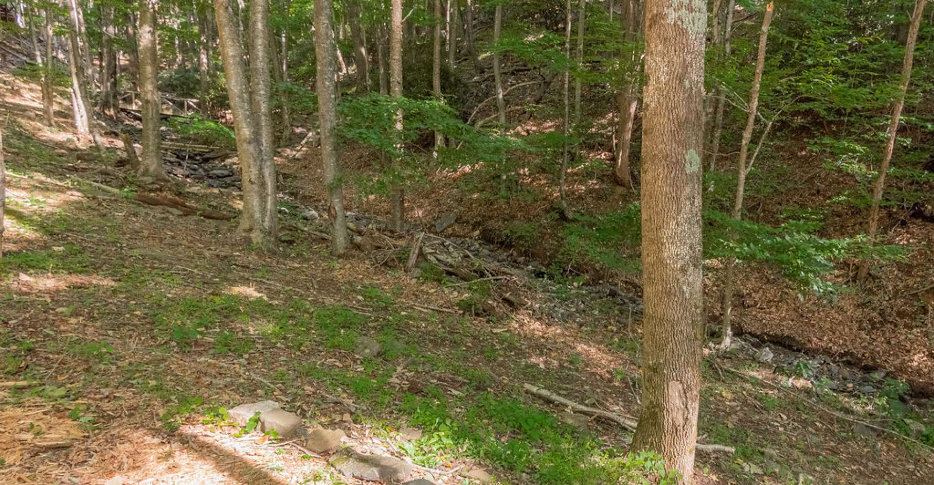 The creek borders the whole back side of the property.