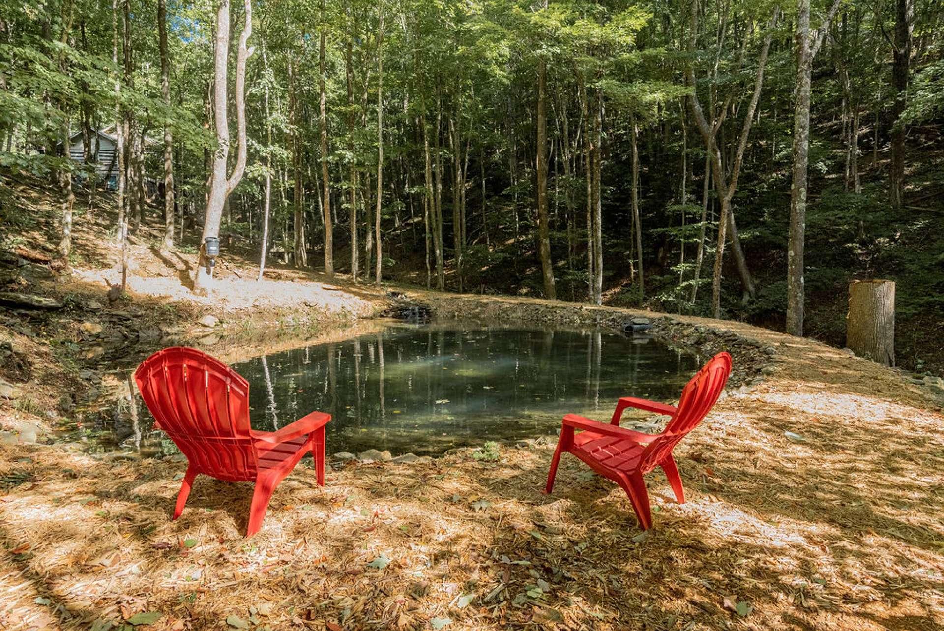 Sit and feed your rainbow trout for hours or have a pond party.