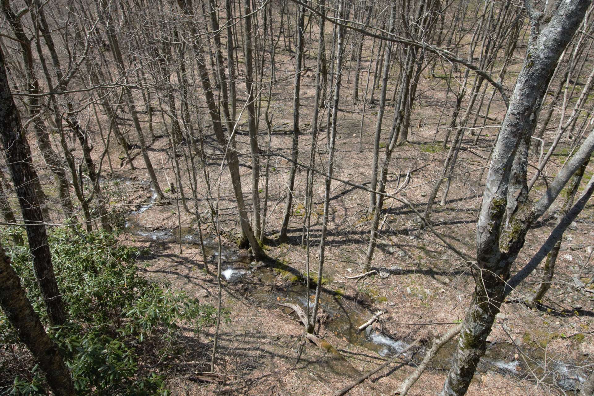 The main level deck offers both covered and open spaces to enjoy the outdoors.  Listen to the sounds of the creek, or watch as deer and other wildlife meander through the forest to the creek.