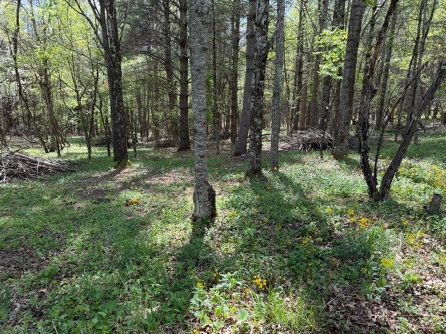 TBD (0.834) Crestview Drive West