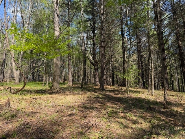 TBD (0.96 acre) Crestview Drive West