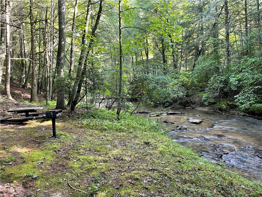 TBD (13 & 14) Timberwilde Drive