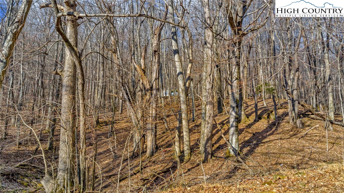 TBD- 23 Locust Circle