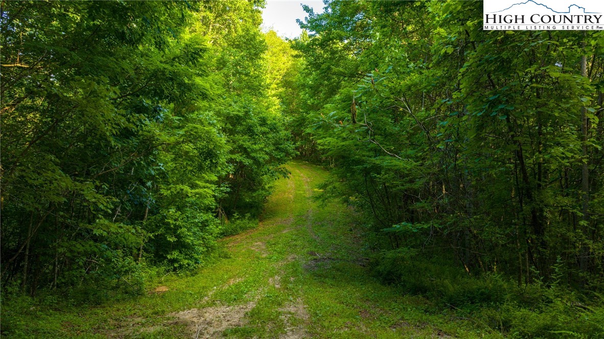TBD-5 Big Laurel Road