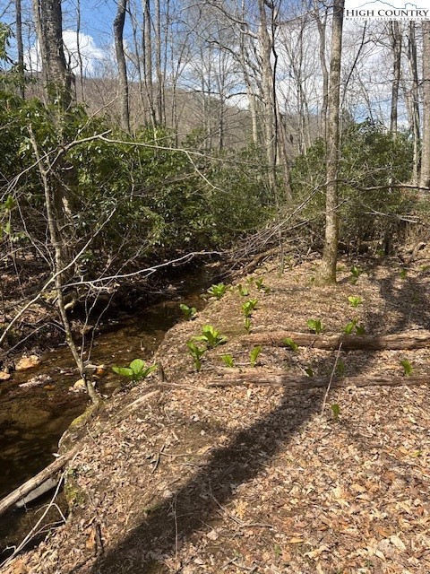 TBD Bald Mountain Road