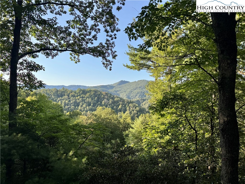 TBD Bear Paw Road
