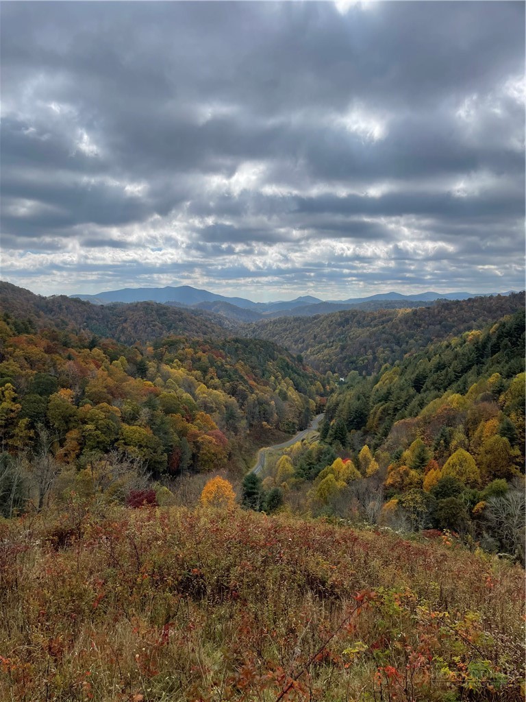 TBD Bear Wallow Road