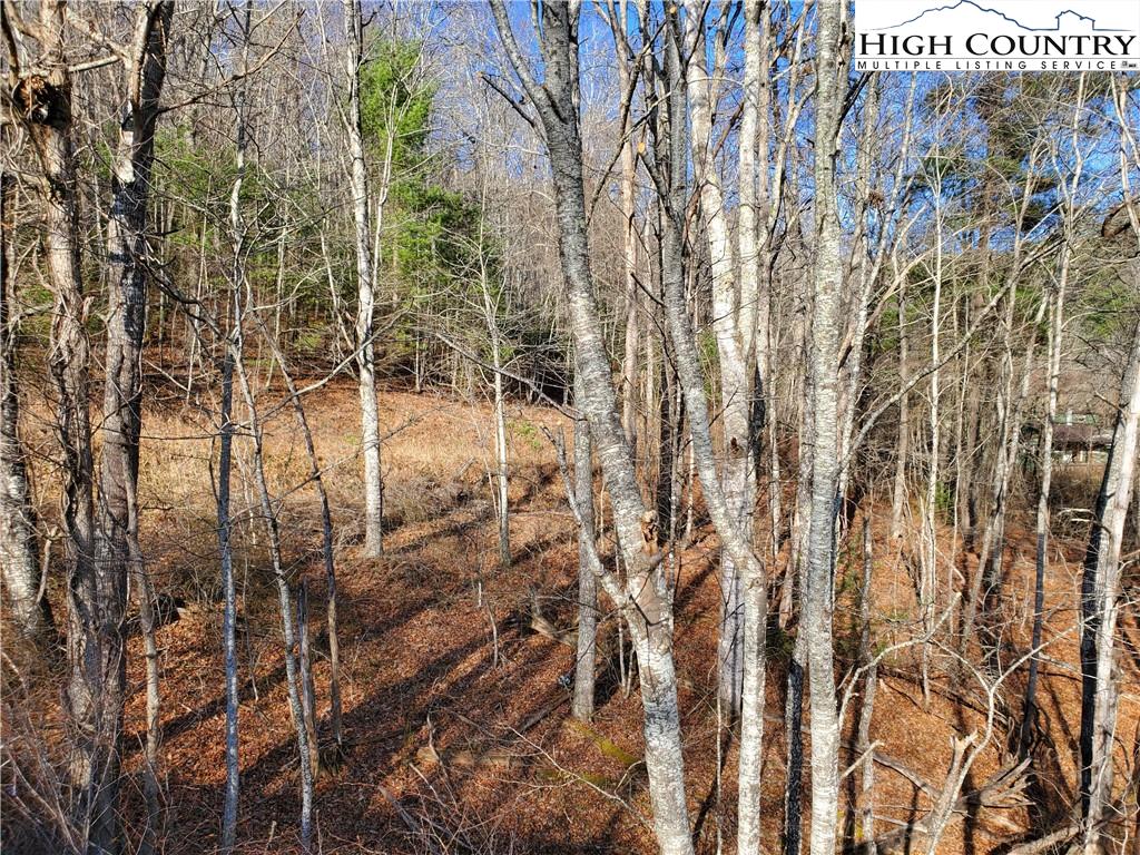 MLS 226470 TBD Big Piney Creek Road, Lansing, NC 28643