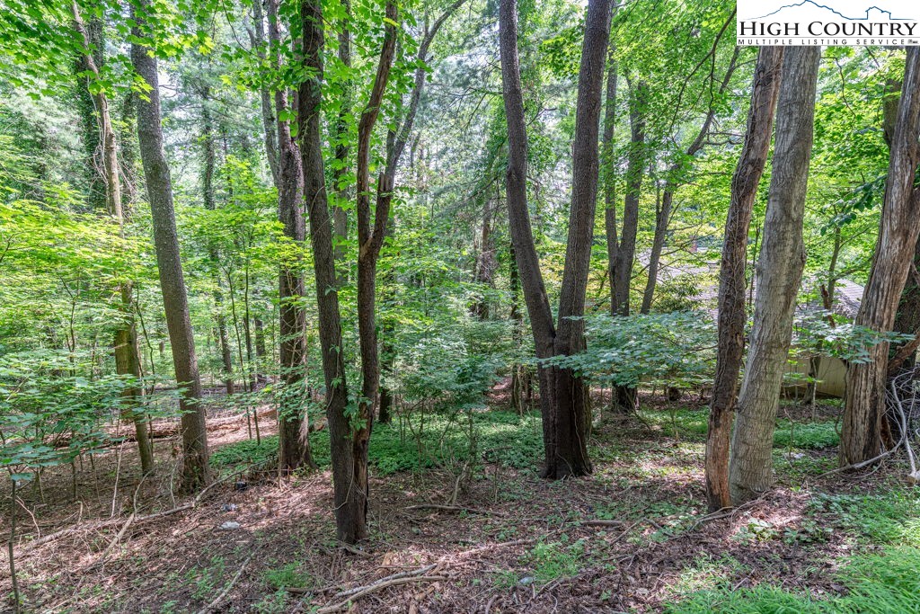 TBD Blanwood Drive