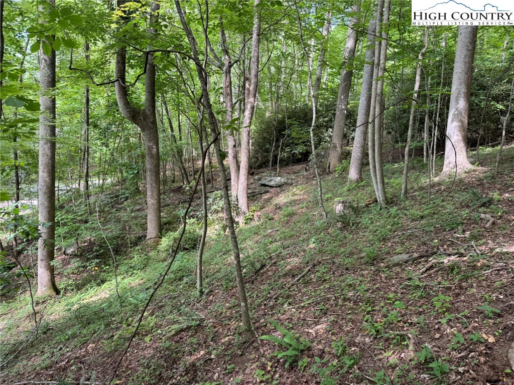 TBD Boulder Gardens Road