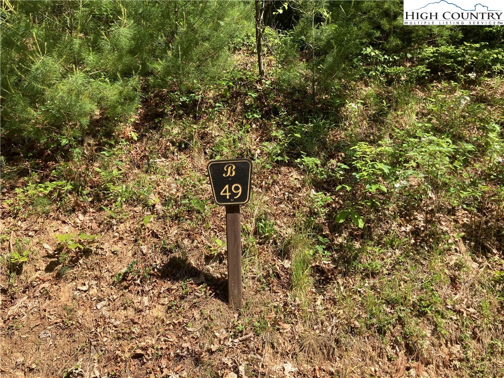 TBD Brightwater Trail