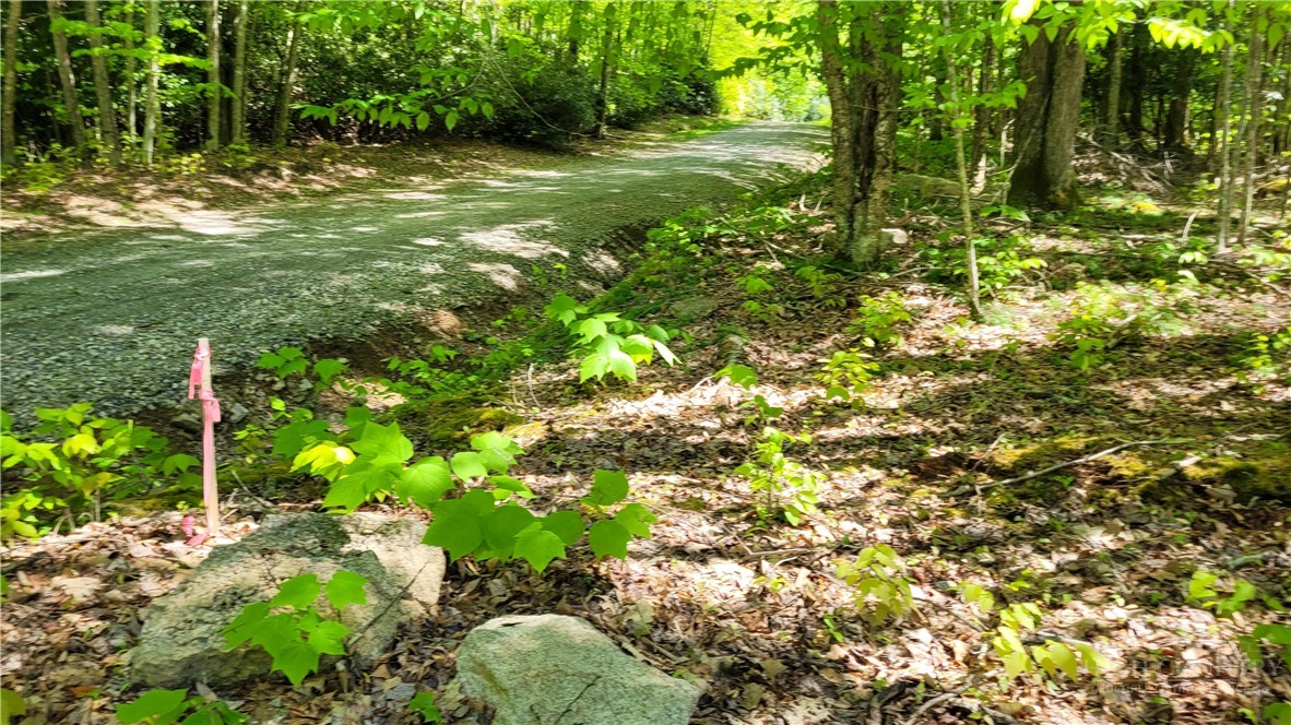 TBD Buckeye Ridge Road
