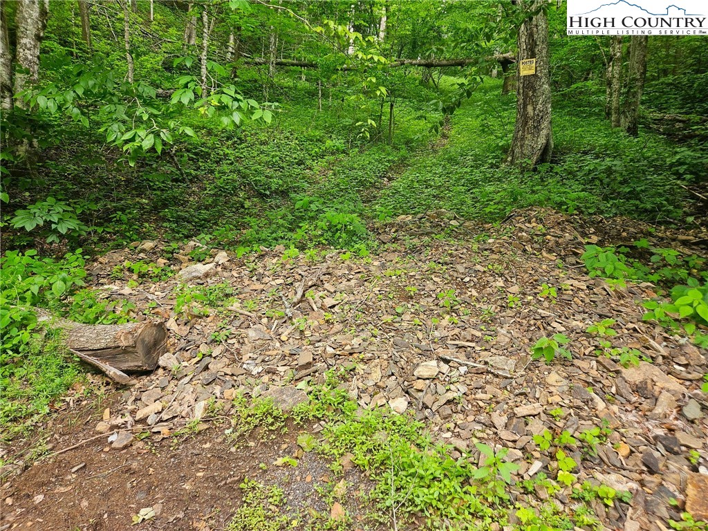 TBD Cow Camp Road