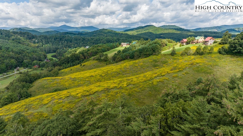 tbd Cranberry Springs Road