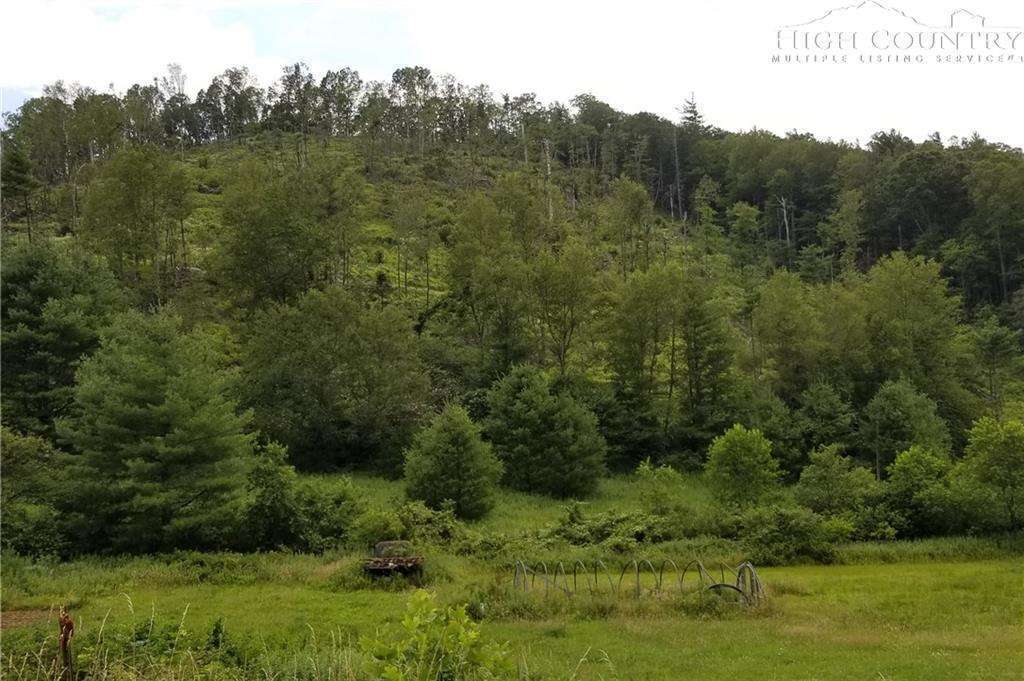 MLS 215939 TBD Darnell Woodie Road, Laurel Springs, NC 28644