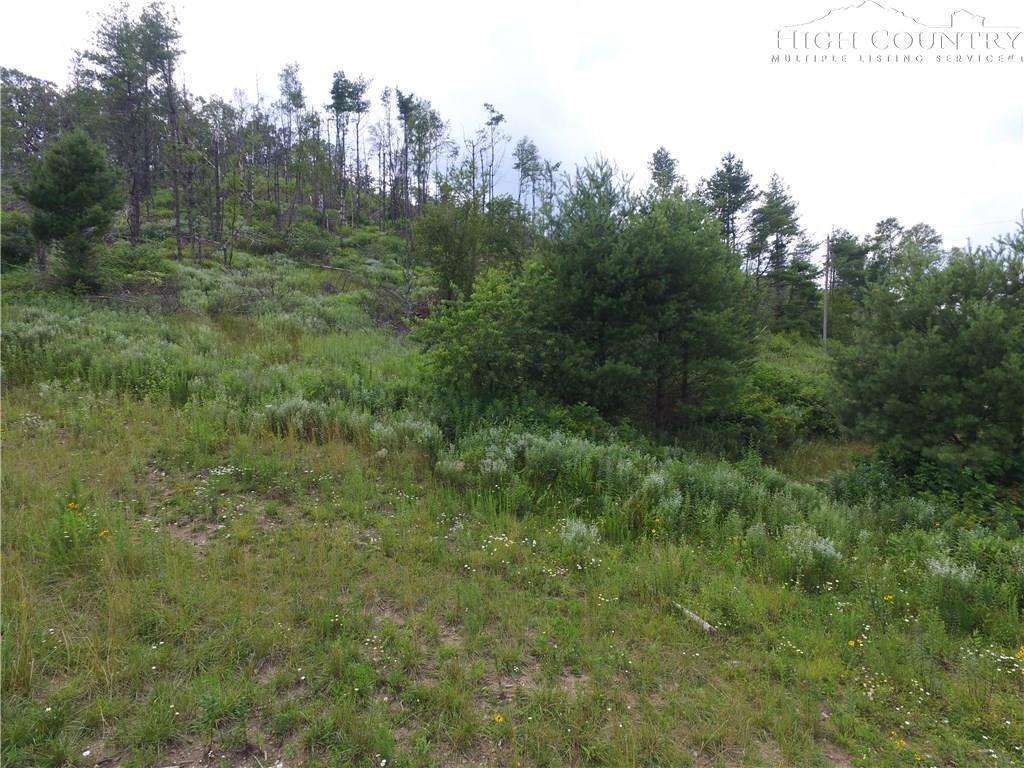 MLS 215939 TBD Darnell Woodie Road, Laurel Springs, NC 28644