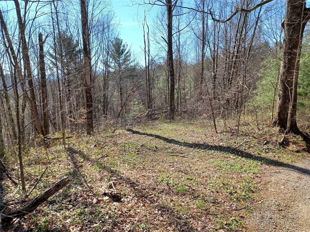 TBD Ed Vanover Road