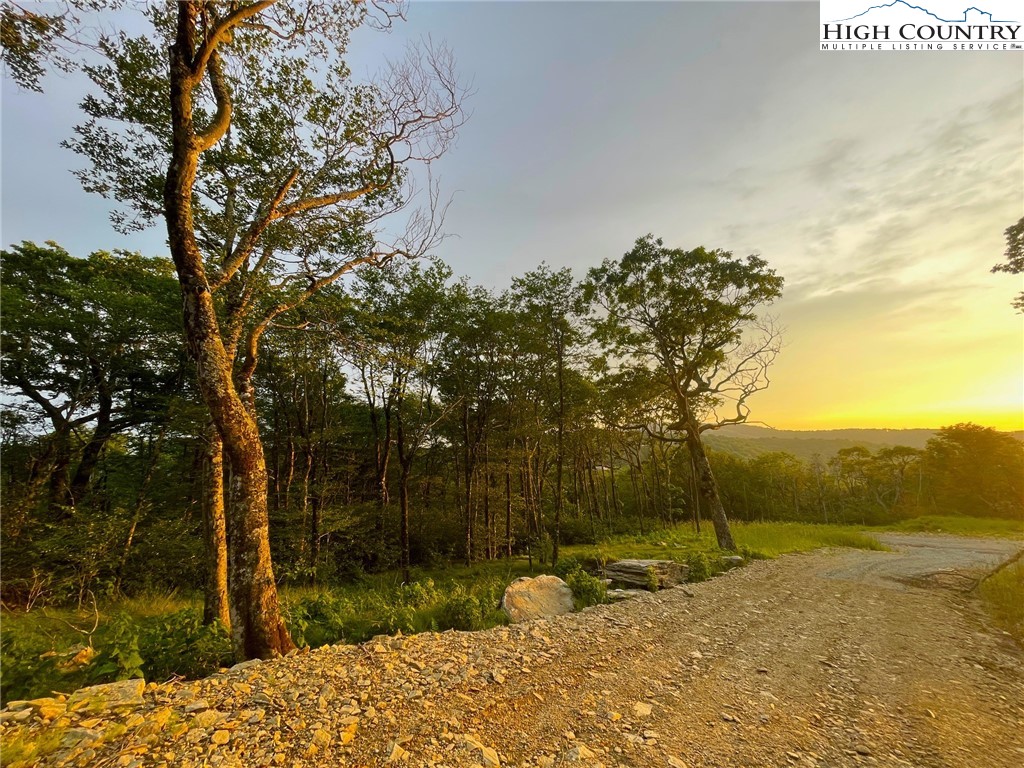 TBD Elderberry Ridge Road