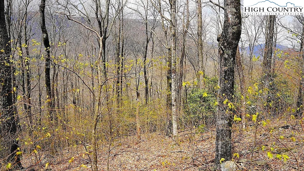 TBD Fairway Ridge Drive