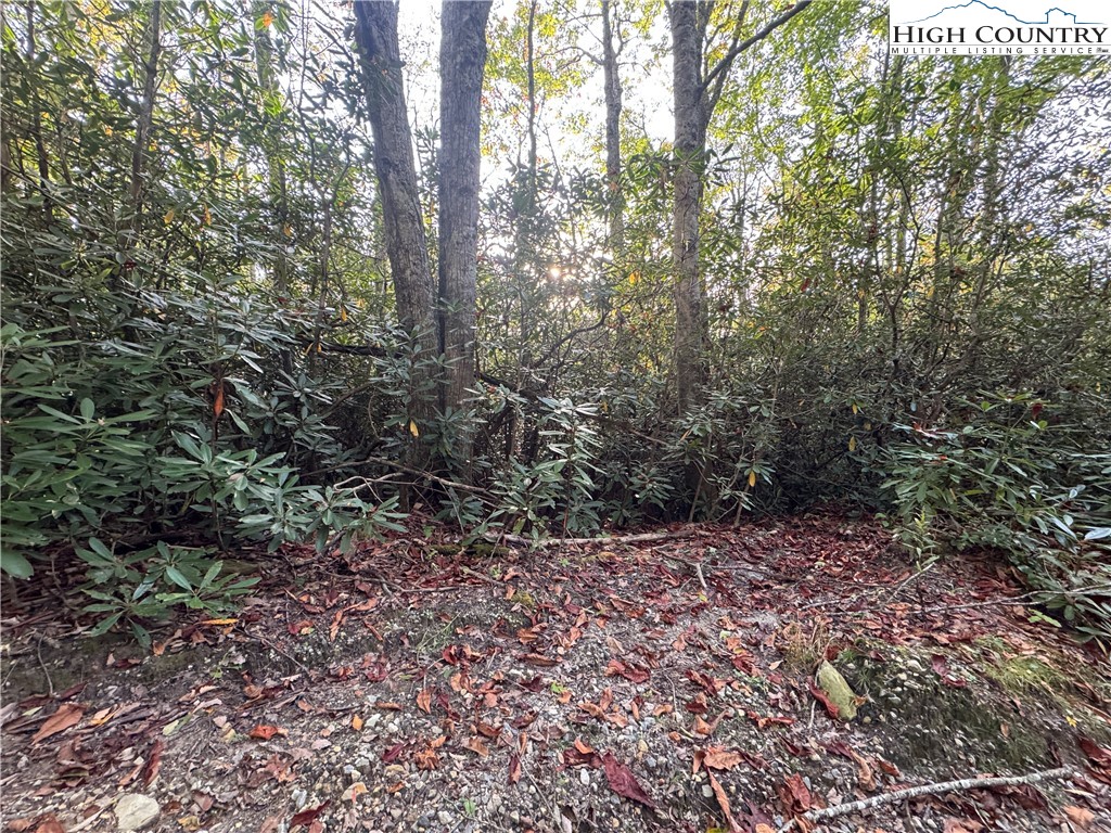 TBD Farview Lane