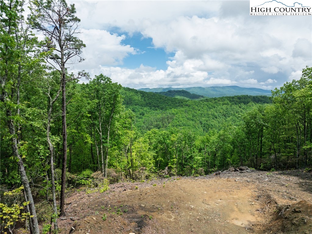 TBD Flat Mountain Road