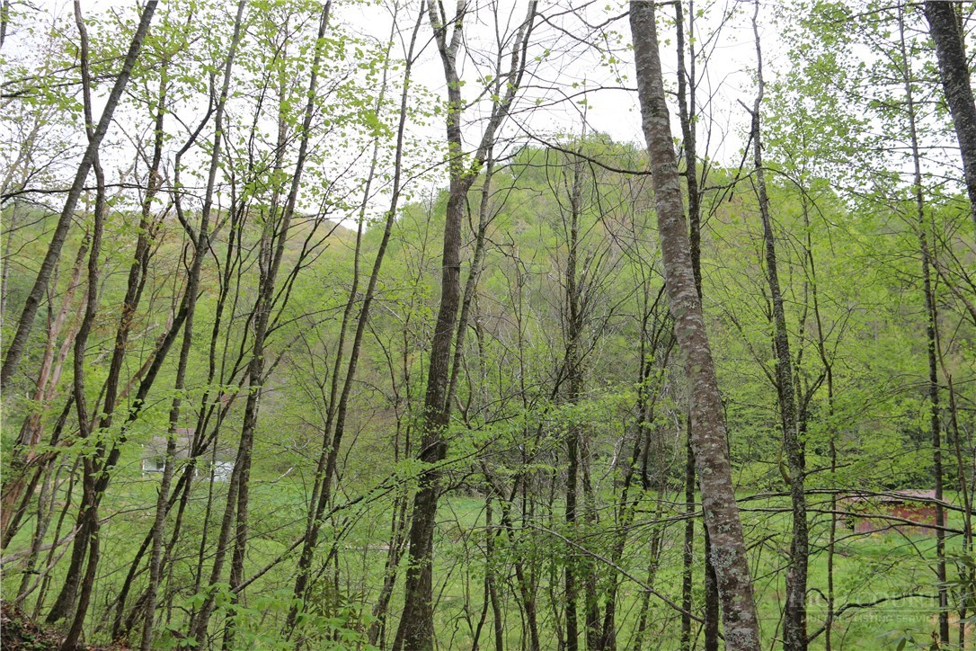TBD Flatwoods School Road