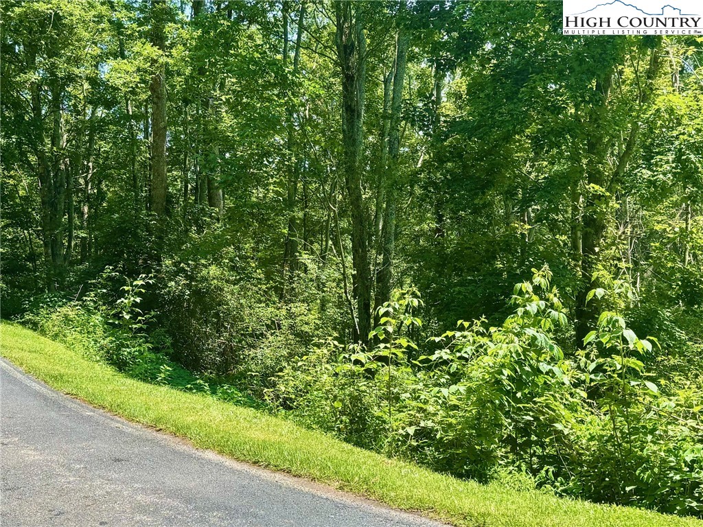 TBD Hemlock Drive