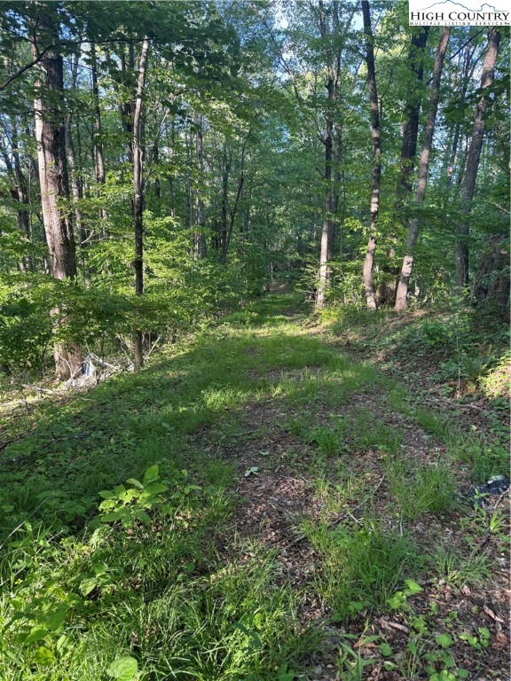 TBD Hickory Trail