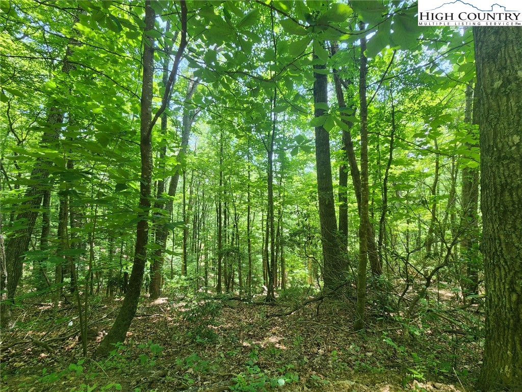 TBD Hollow Point Drive