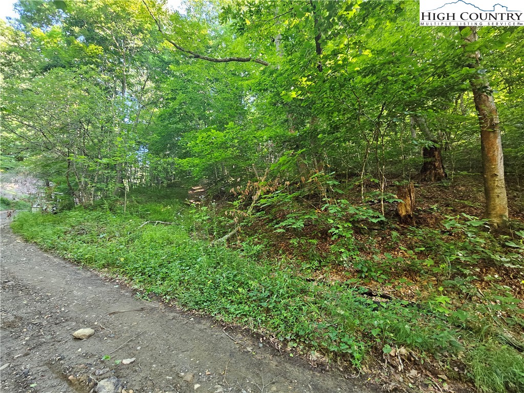 TBD Immaculate Heart Way