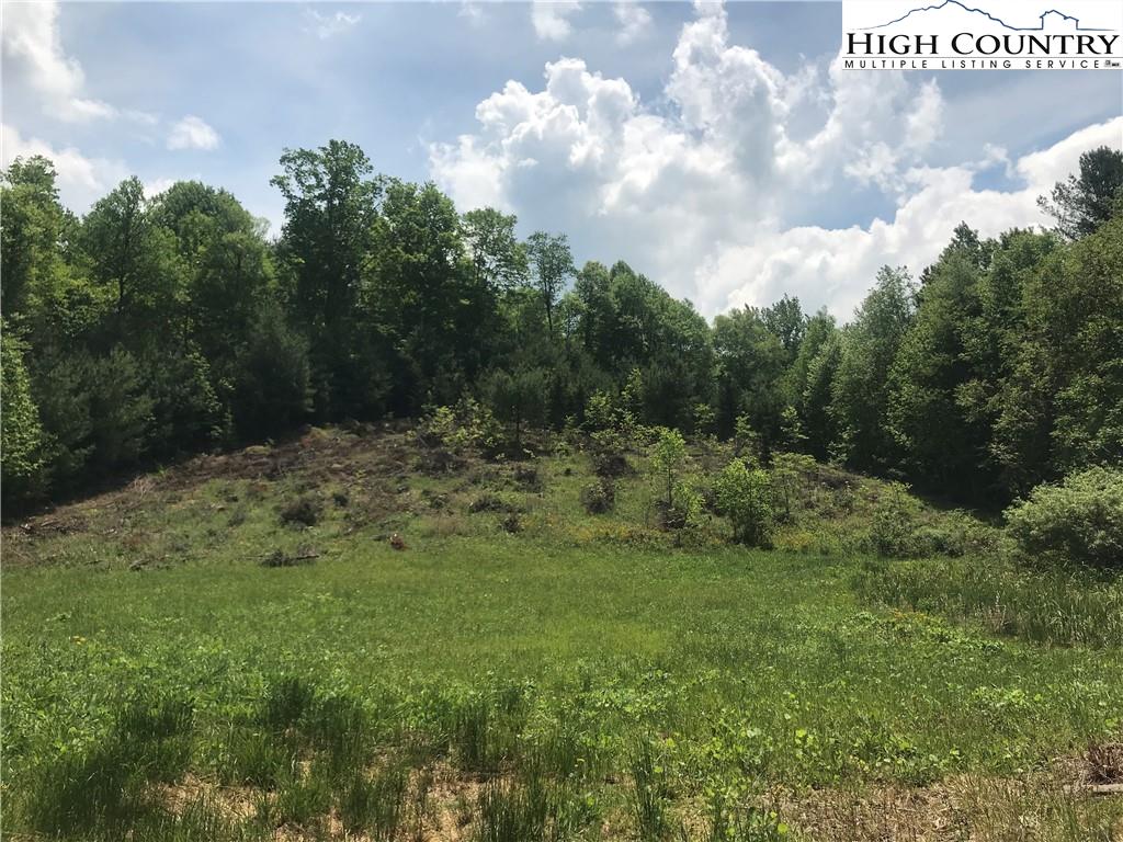 MLS 230686 TBD JEB Stuart Highway, Whitetop, VA 24236