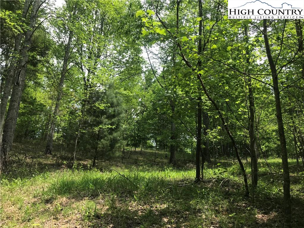 MLS 230686 TBD JEB Stuart Highway, Whitetop, VA 24236