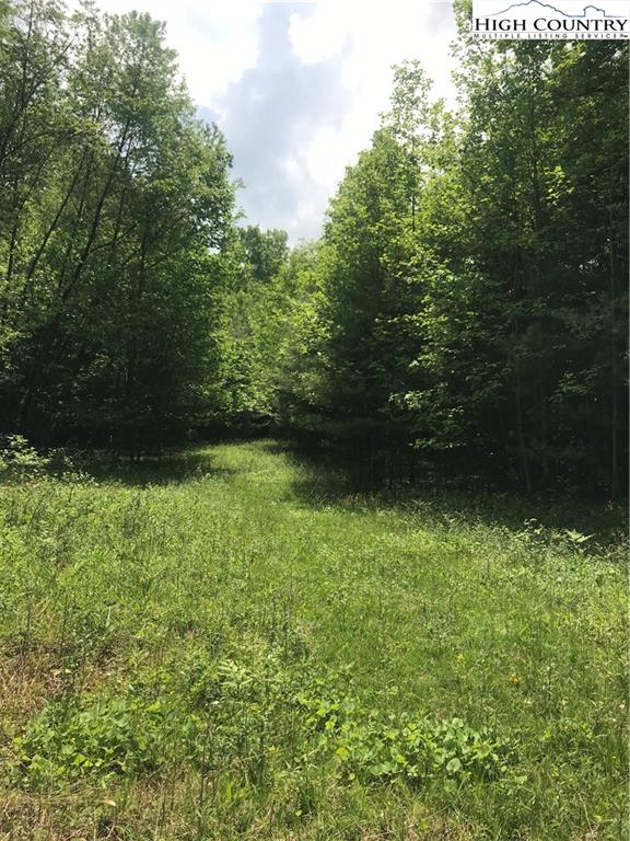 MLS 230686 TBD JEB Stuart Highway, Whitetop, VA 24236