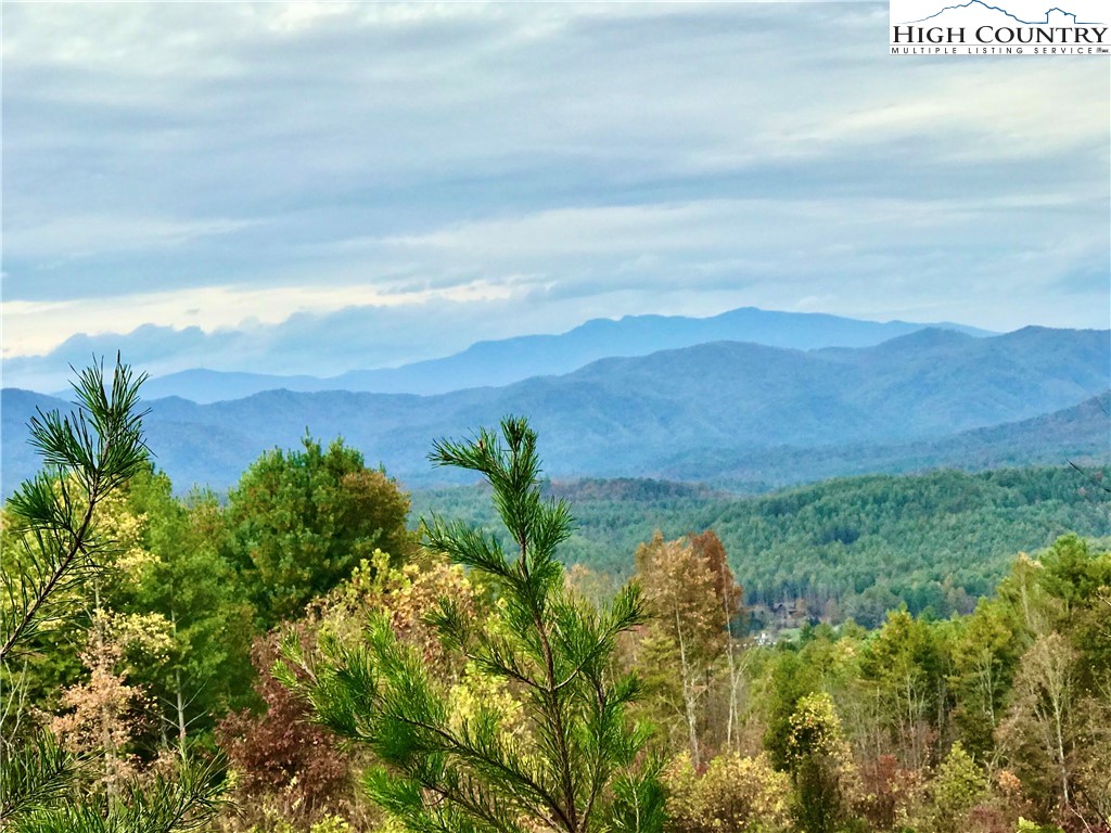 TBD Johns Ridge Parkway