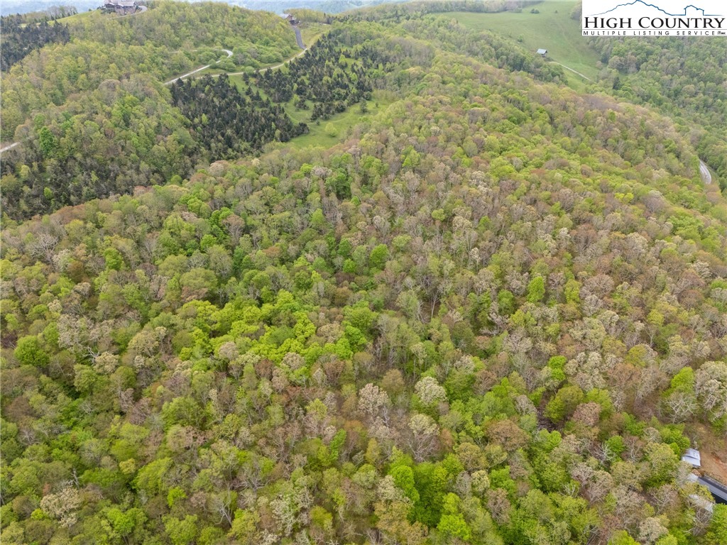 TBD Junaluska Road