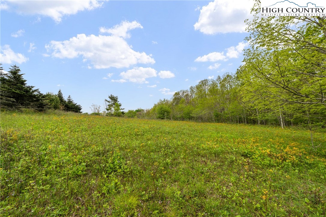 TBD Junaluska Road