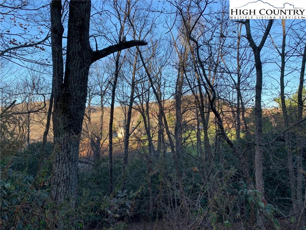 MLS 227020 TBD Laurel Lane, Blowing Rock, NC 28605