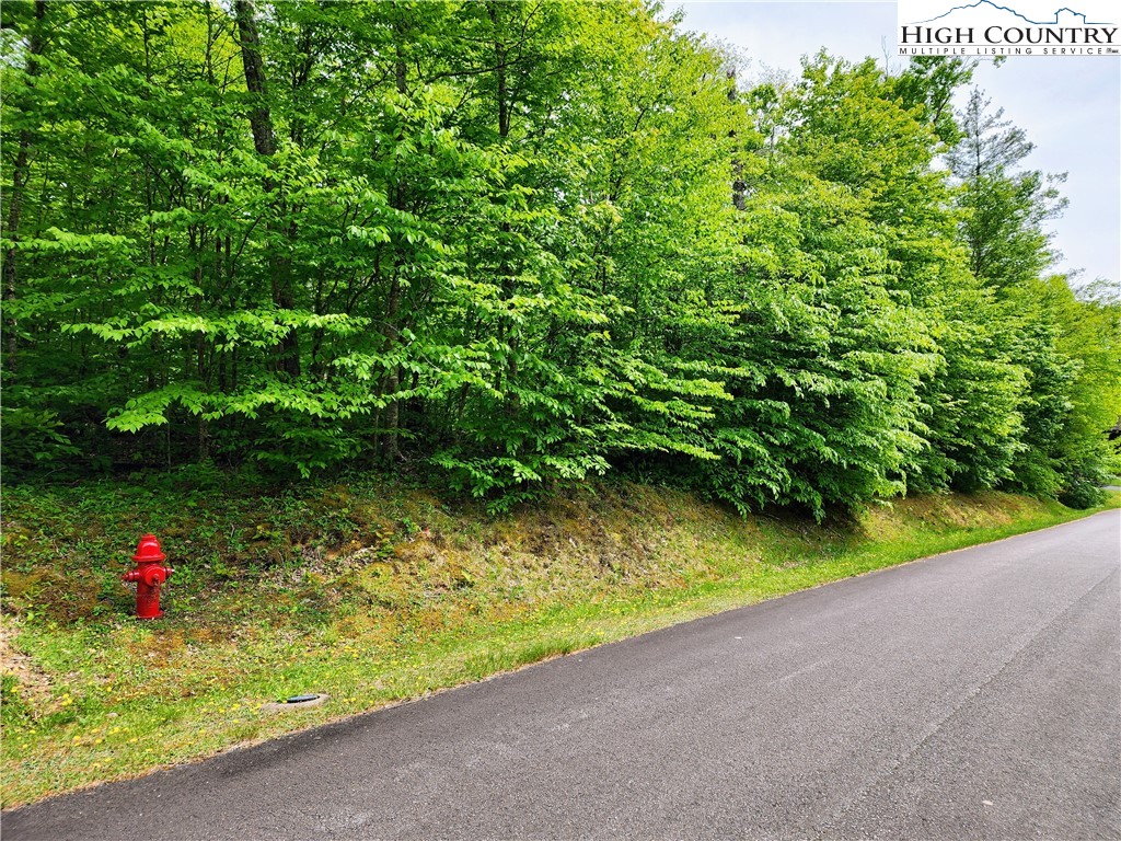 lOT 18 Linville River Drive