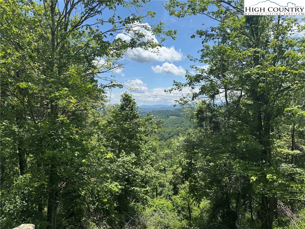 TBD- lot 1 Mayito Lane