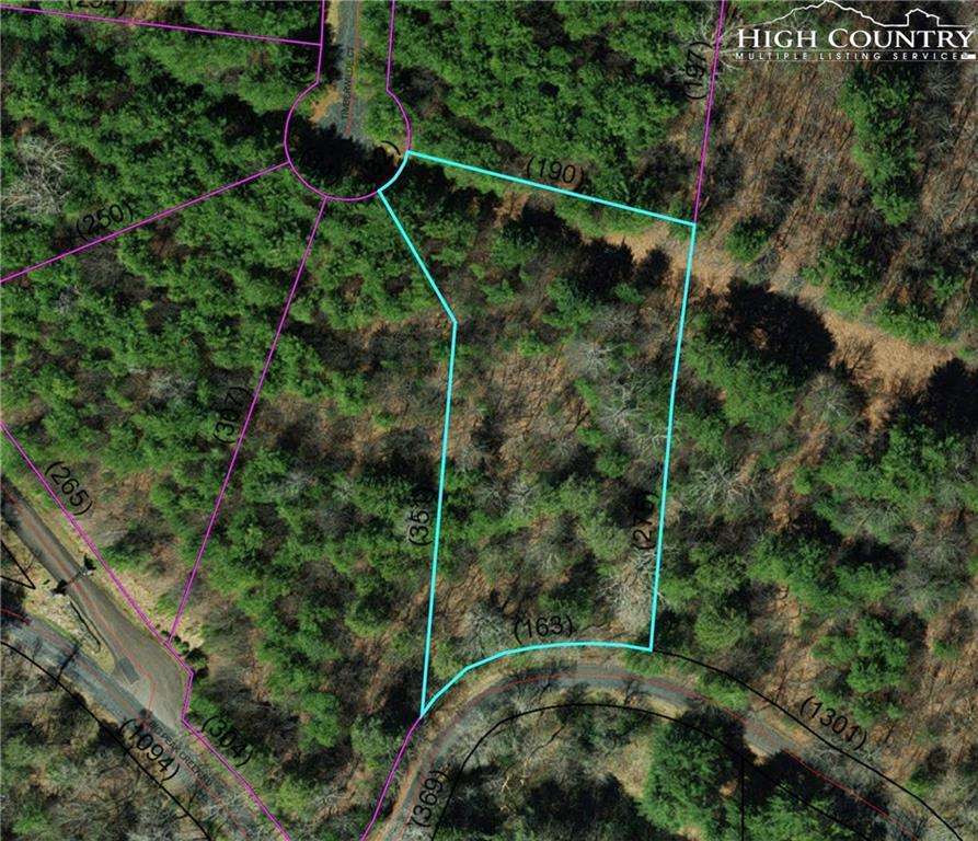 MLS 216331 TBD (Lot 1) Timberwilde Court, Laurel Springs, NC 28644