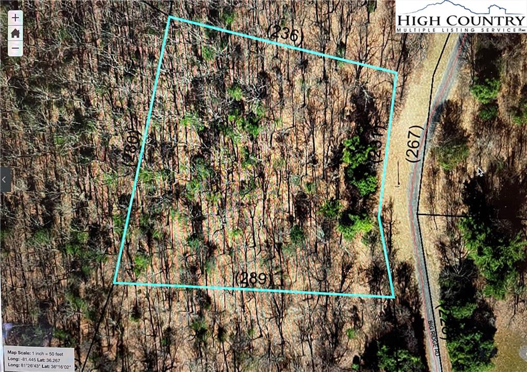 TBD Lot #12 Big Ridge Road