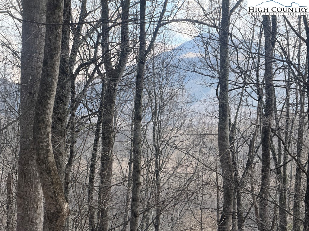 TBD Lot 17 Carefree Cove Road