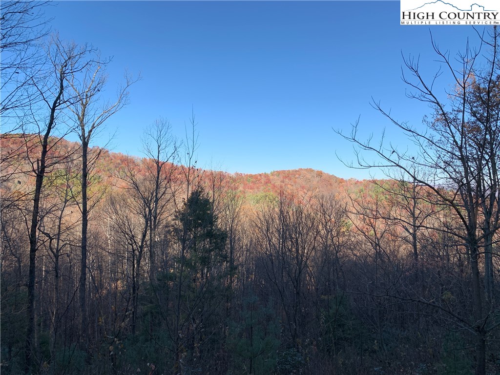 TBD (Lot 19) Wolf Den Lane