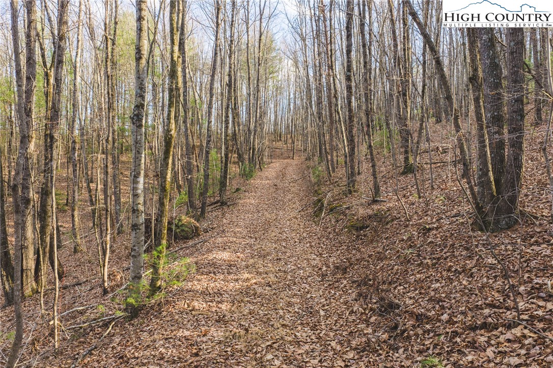 TBD Lot 2 All Healing Springs Road