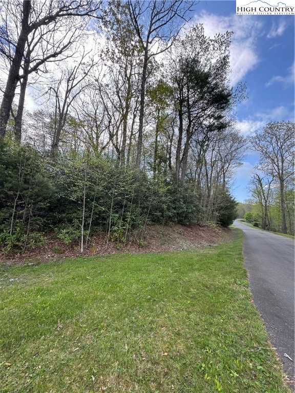 TBD Lot 23 Black Bear Trail