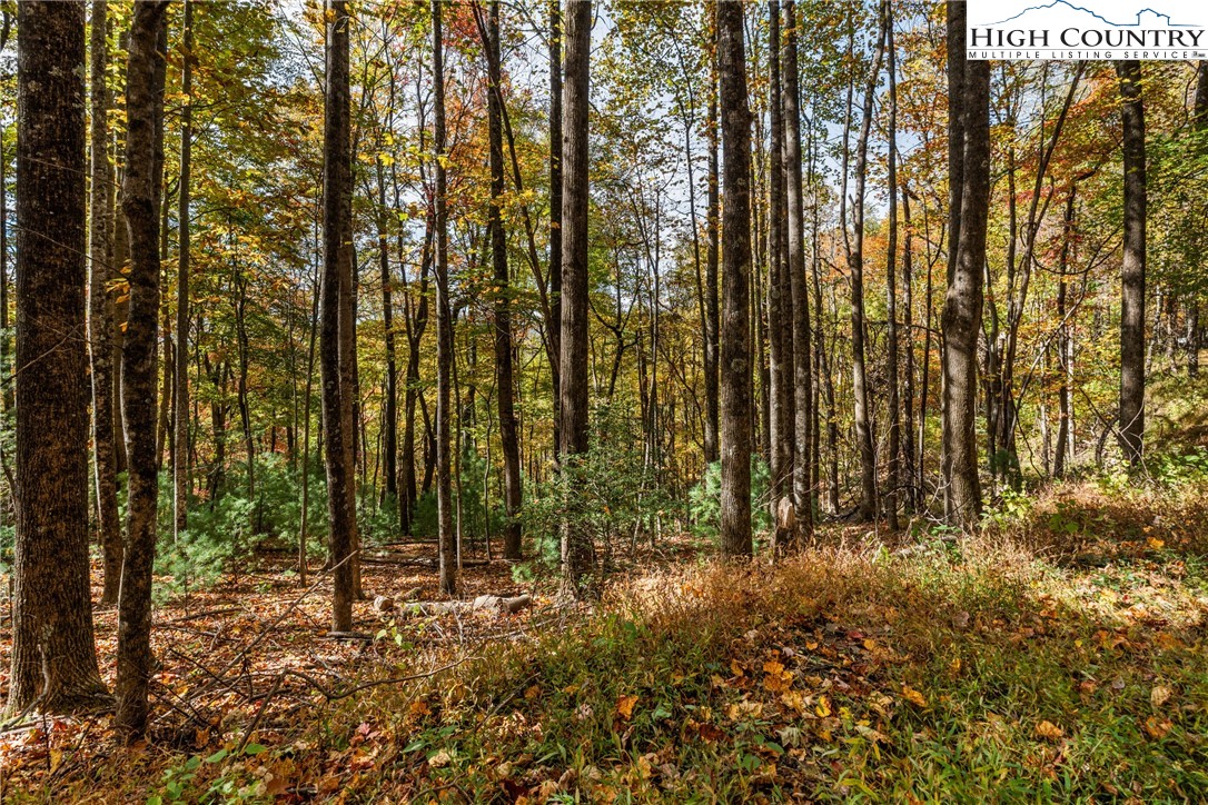 TBD - Lot 24 Ben Miller Road