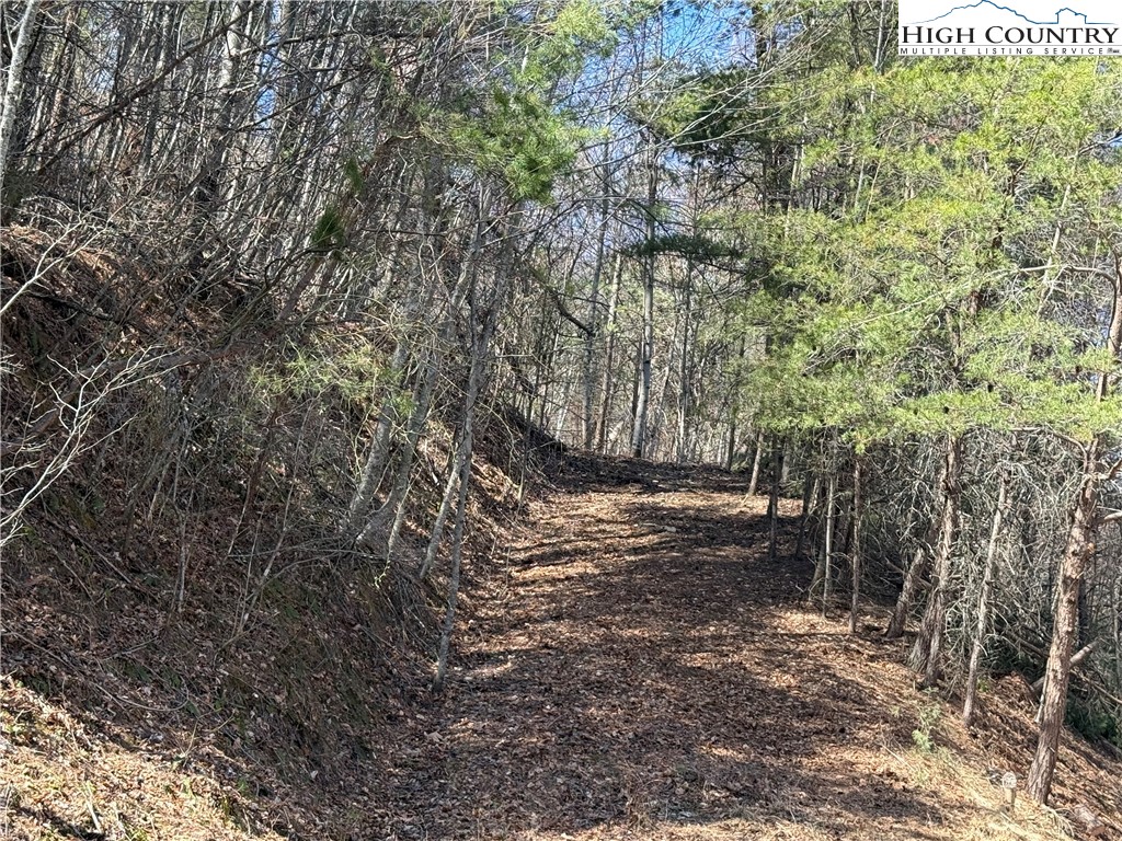TBD Lot 30 Shawnee Trail